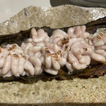 シロクマ食堂 - 