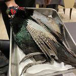 プレゼンテ スギ - 