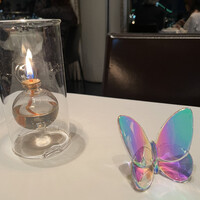 ツキ シュール ラメール - 