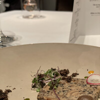 ツキ シュール ラメール - 