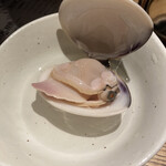 牡蠣・貝料理居酒屋 貝しぐれ - ほんのりピンクに染まった蛤、イタダキマス！