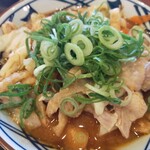 丸亀製麺 - 豚汁うどん、アップ