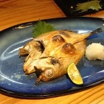 寅寅寅 - たしかノドグロの一夜干し