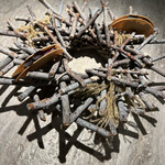 ad hoc  - 雑味のないキメ細かいフォアグラ、ってコメント下手過ぎ笑笑