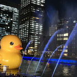 ad hoc  - お店のすぐ先にてイルミネーション開催していました