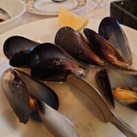 ナプレ 横浜高島屋店 - 