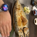 とろさば料理専門店 SABAR+ - 