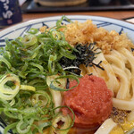 Marugame Seimen - 