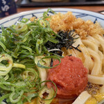 Marugame Seimen - 