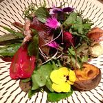 神保町 傳 - スペシャリテのサラダ