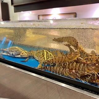 Fish tank at the counter seat! Enjoy fresh seafood♪