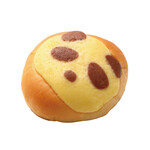 CAFE CARDINAL - 