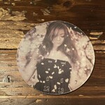 河内カルメン - コースター