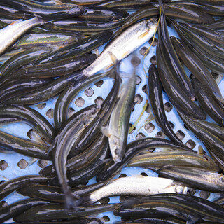 Hidden Specialty Ingredients Nurtured by Shinshu and Karuizawa