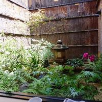 山玄茶 - 坪庭も素敵です。 
