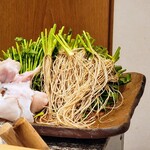 勢麟 - 根付きの芹