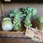 ベジボーイキッチン - 珍しい芽キャベツタワー！