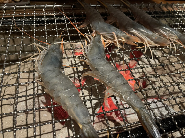 角 炭火炙り焼 - 二本松（居酒屋）の写真