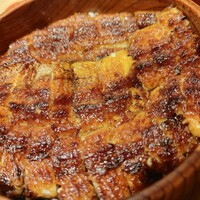 炭焼 うな富士 有楽町店 - ウナギぎっしり(嬉)