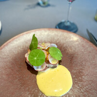 プレヴナンス - 