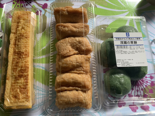 とうふ苗木 サボテン兜 兜錦 抜き苗の通販 by momo's shop｜ラクマ