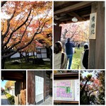 Daitokujisaikiya - 大徳寺