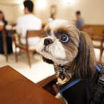 Le Chien Kyu Karuizawa