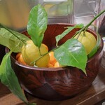 桶家乃隠居 - 京橋産のレモン