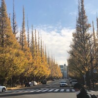 キハチ 青山本店 - 