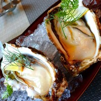 トラットリア イル レガーロ - 