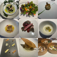 レフェルヴェソンス - 