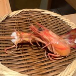 鮨 銀座 おのでら - クルマエビ茹で上がり