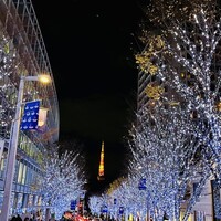 フィオレンティーナ -  フィオレンティーナ -