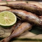 旬彩　菜たねや - ししゃも