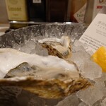 Emit Fish Bar Oyster And Grill - 