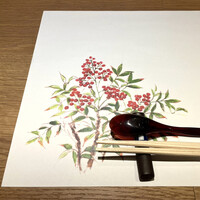 神田 鮨 近松 - 