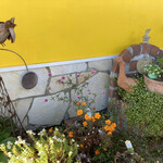 Un Petit Paquet - お店の前の植え込み