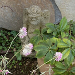 Un Petit Paquet - お店の植え込みの中にアヤシイ奴が･･･！！