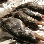 柳家 - 2013.06馬瀬川天然あまご