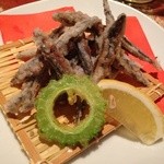 男前料理と五島列島直送の魚 京ばし　無花果 - 