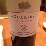 本町バール　月卯 - Aguaribay Malbec 2009