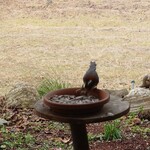 くつきそば 永昌庵 - 