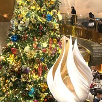 ロビーラウンジ 「マーブルラウンジ」 ヒルトン東京 - 巨大ツリー
