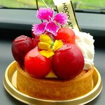 しょこら亭 本店 - 3種類のさくらんぼのタルト