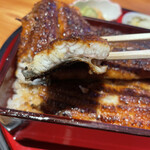 Unagi Oka Fuji - 