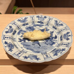 成生 - アオリイカ