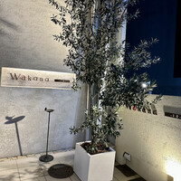 Wakana ～和奏～ - 