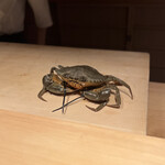 成生 - ドウマン蟹