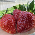 姫路ハートフル観光農園 - 