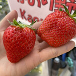 姫路ハートフル観光農園 - 